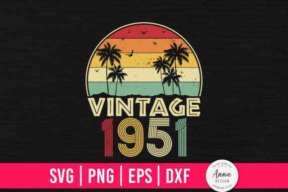 Vintage 1951 73rd Birthday Gifts Graphics